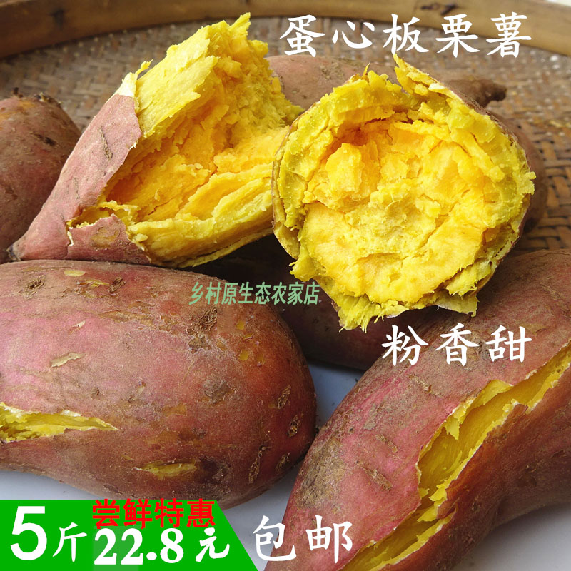 茂名现挖黄心红薯新鲜地瓜蛋黄小番薯 农家自种黄肉香薯 包邮山芋