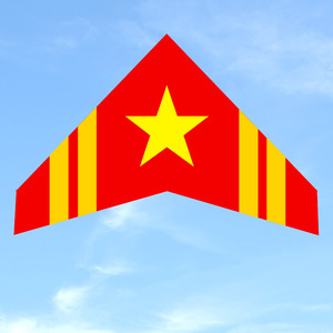 奥月神州小轻体风筝超微风易飞轻薄伞布碳杆儿童成人专业三角战机