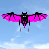 奥月新款 3米板蝠风筝专业伞布碳杆大型成人易飞高档抗风6提线蝙蝠