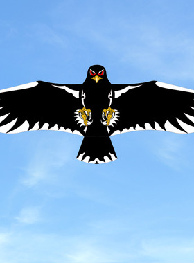 25新款板鹰儿童微风易飞初学4提线老鹰成人大型抗风格子布树脂杆