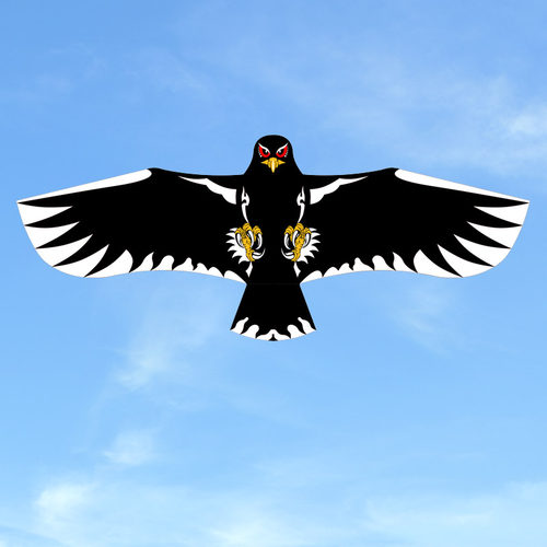 奥月新手板鹰风筝好飞抗大风老鹰