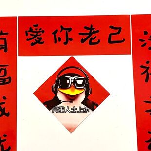 新年抽象你老搞笑对联新款春节宿舍房间学生卧室过年春联门帘