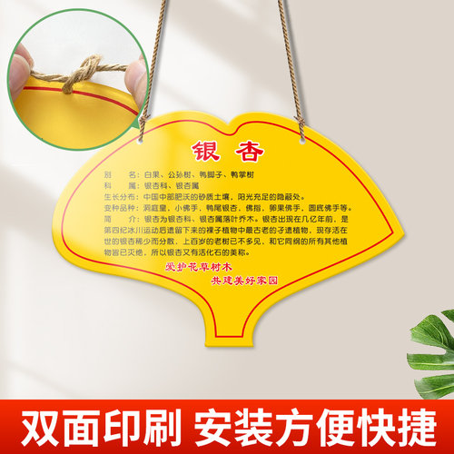不锈钢花草牌亚克力植树节植物挂牌树木认养介绍标识提示牌设计定