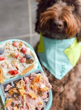 美国Lickimats Slomo四格丰容慢食盘狗猫通用易清洁可冷冻放洗碗