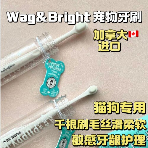 现货丰容玩具盘爪子盘