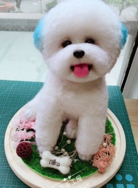 纯手工摆件微景观羊毛毡