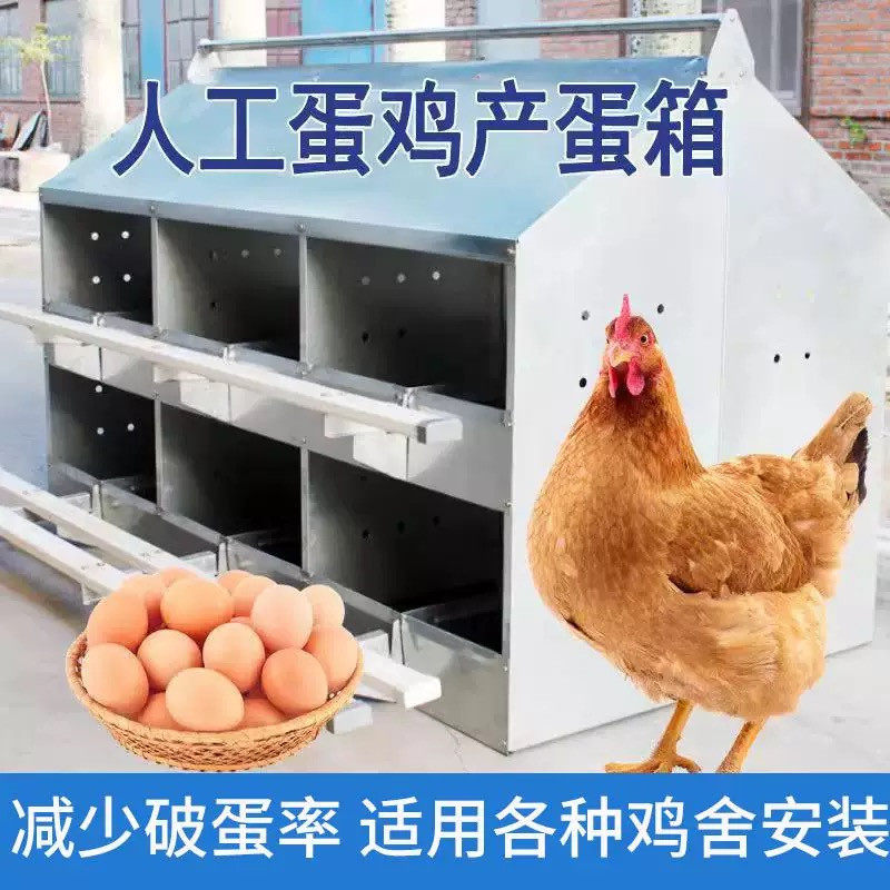 人工蛋鸡产蛋箱母鸡土鸡下蛋器散养鸡引蛋窝家禽鸡舍下蛋专用架子