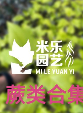 鹿角蕨直播，补差价补运费链接，直播间一物一拍，拍前请联系客服