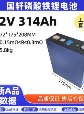全新国轩3.2V314Ah磷酸铁锂电池电动车二轮三轮电芯组装外卖车动