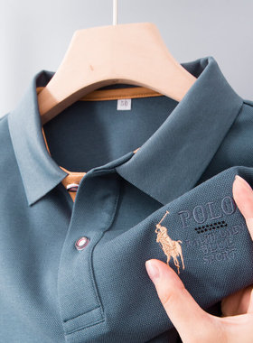 保罗polo衫长袖t恤春秋季中年男士刺绣plol爸爸装内搭秋衣上衣土