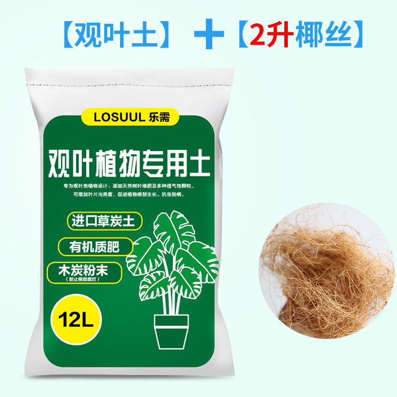 星河丨有机营养土配方土壤仙人掌多肉天堂鸟琴叶榕绿植椰丝火山石在类目 鲜花速递/花卉仿真/绿植园艺, 园艺用品, 家庭园艺肥料/营养土/营养液中 - 来自Buy2taobao.com提供专业的淘宝代购服务