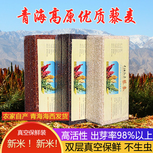 新米青海三色藜麦红黑白藜麦米粗杂粮粥黎麦米糙藜麦米官方旗舰店