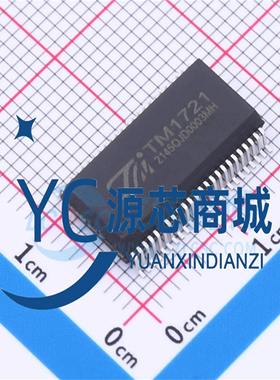 原装正品 TM1721 AIP1721 封装SSOP48 液晶LCD驱动控制器芯片