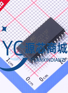晶源微 CSC2313F 贴片SSOP28 数字控制立体声 音频接口芯片