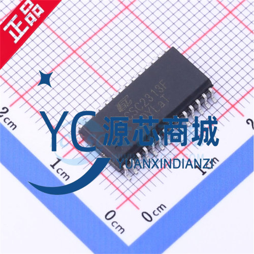 晶源微 CSC2313F 贴片SSOP28 数字控制立体声 音频接口芯片