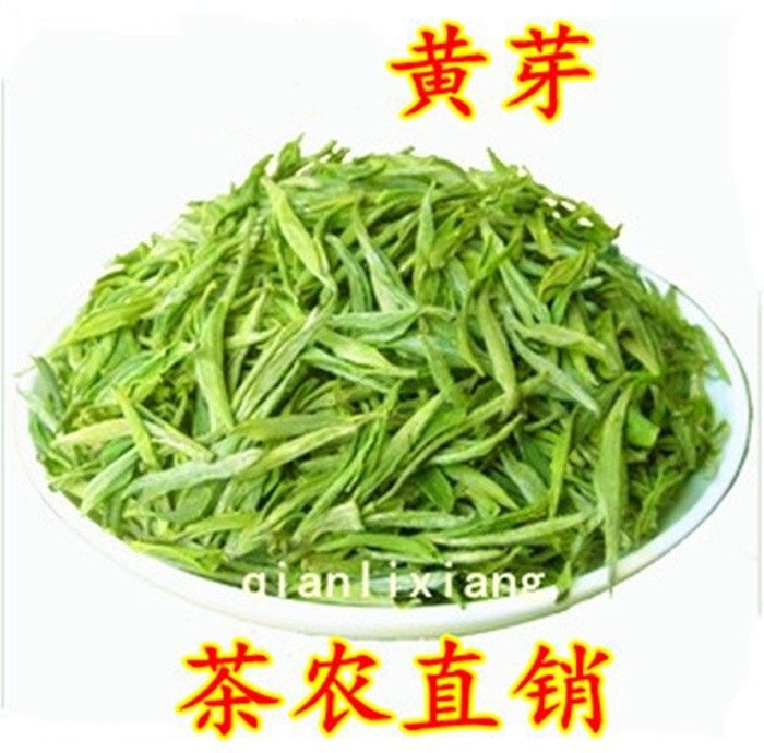 2026年新茶绿茶 霍山明前黄芽茶叶 黄牙春茶250g包邮头采嫩芽