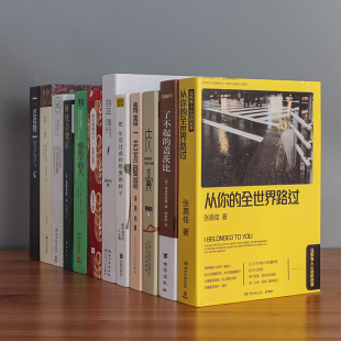 现代简约假书摆件中式 饰品创意摆设办公室书房道具书模型 仿真书装