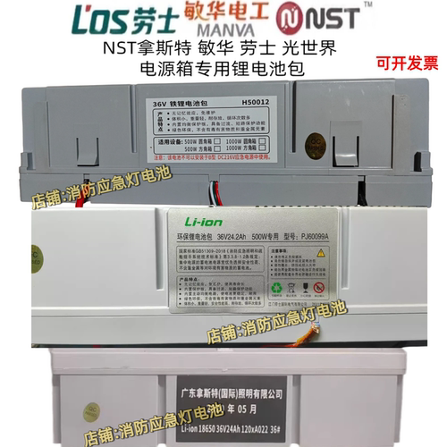 拿斯特500W专用36V24AH24.2AH50012敏华电工劳士PJ60099A备用电源
