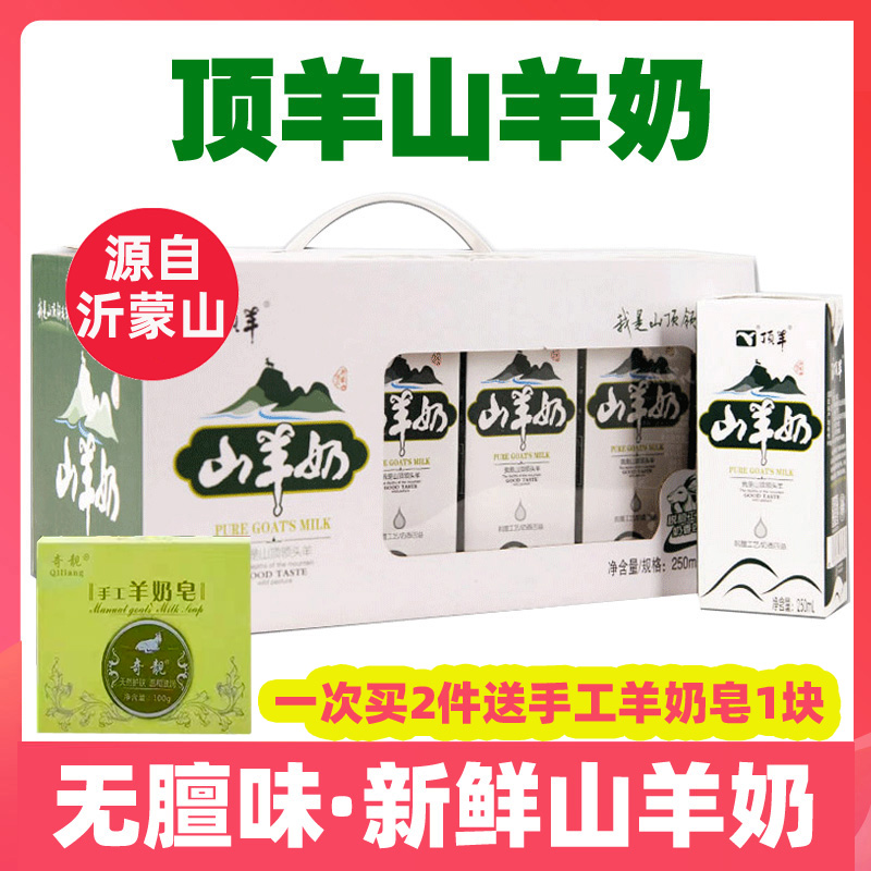 鮮羊奶成人兒童孕婦頂羊無膻味