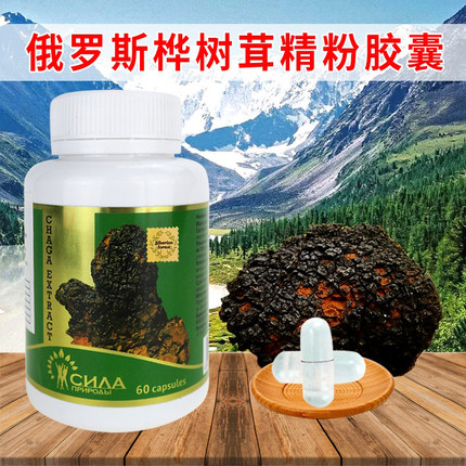白桦茸胶囊俄罗斯桦树茸精粉西伯利亚桦褐孔菌一瓶60粒包邮