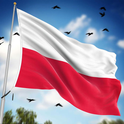 Flag of the Republic of Poland 波兰国旗高品质涤纶国家旗帜