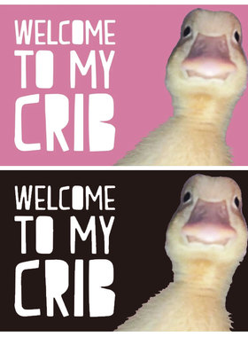 Welcome to My Crib旗帜3X5Ft四角打孔卧室客厅酒吧宿舍装饰挂布