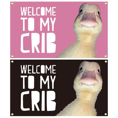 卧室装饰挂布WelcometoMyCrib