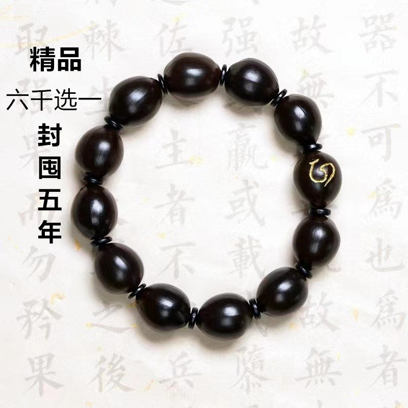 正心莲 地韵级莲子手串 千年古莲佛珠 念珠老莲子 石莲子文玩非遗