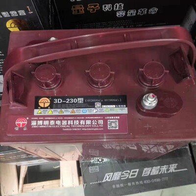 6V260AH3d-230型蓄电池明泰电瓶