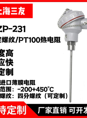 WZP-231/PT100铂热电阻/PT100温度传感器/螺纹热电阻/铠装热电偶
