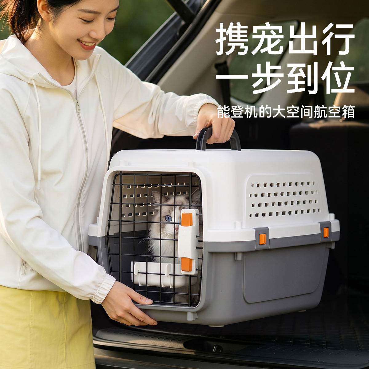 国航标准航空箱宠物空运外出笼子猫咪手提车载狗狗托运航空箱