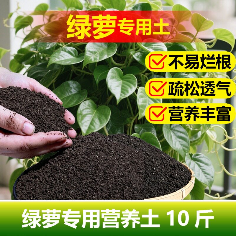 绿萝水培植物专用土料室内盆栽绿植营养土花卉土肥绿箩禄萝肥家用