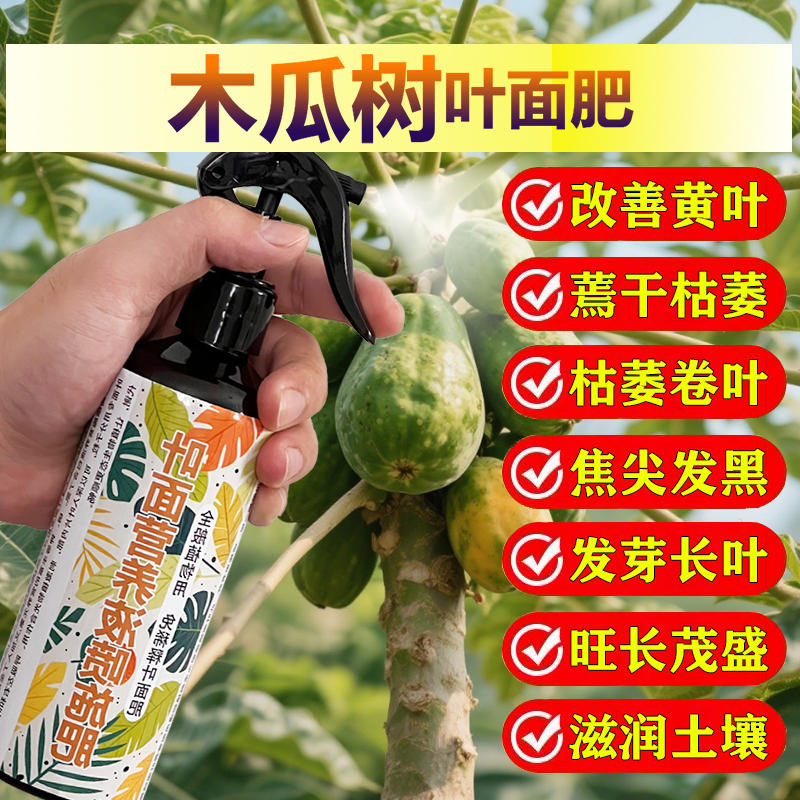 木瓜果专用肥料木瓜树苗营养液开花保花保果结果挫果增产增收肥料