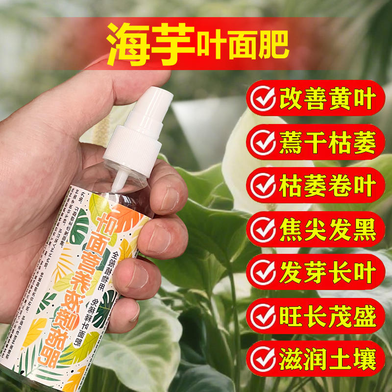 海芋专用营养液叶面肥绿天鹅绒白犀牛大仙女萨利安龙鳞盆栽花肥料