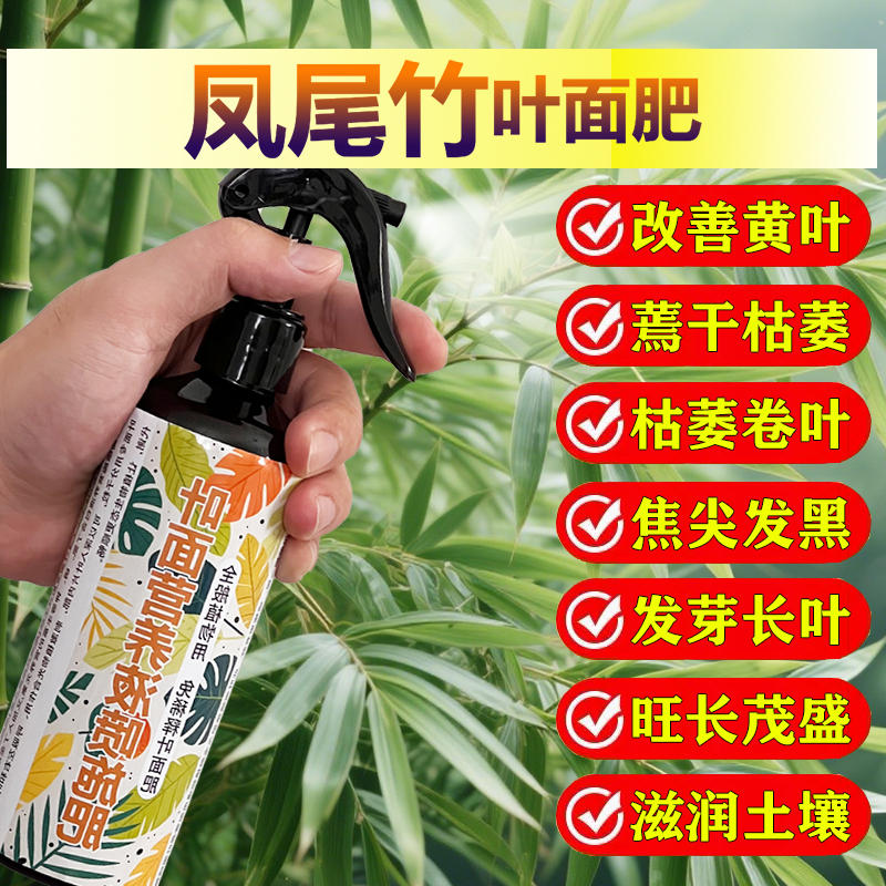 凤尾竹专用肥料绿植营养液叶子尖焦发黑发黄桔萎卷曲耷拉叶面肥料
