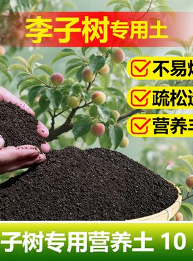 李子树专用土料盆栽小苗旺长生根促发新芽长新种植肥营养土肥家用