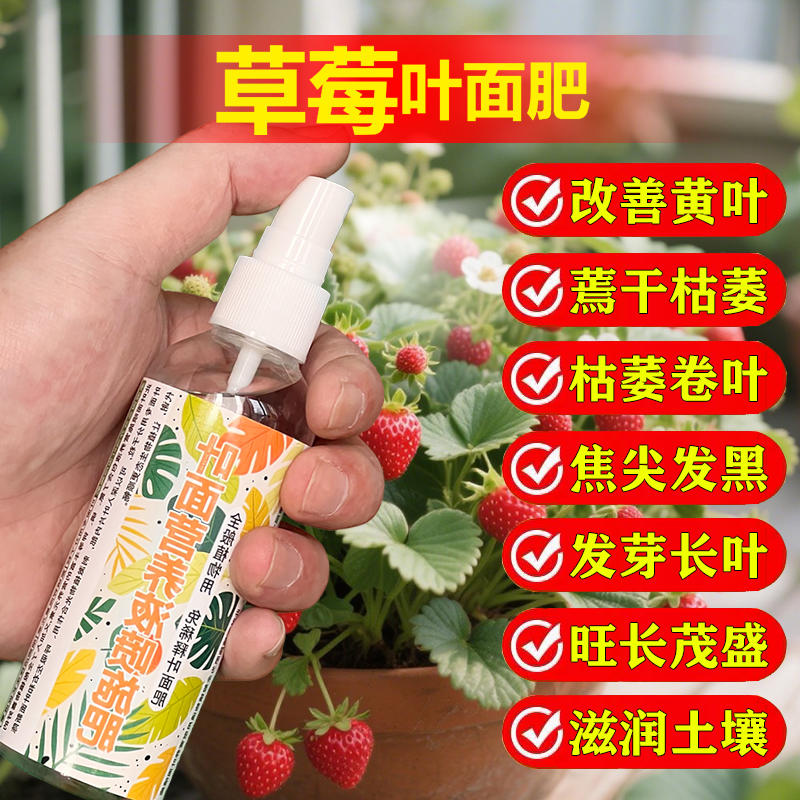 草莓专用肥料盆栽种植奶油草莓苗土壤营养液氮磷钾有机肥叶面肥料