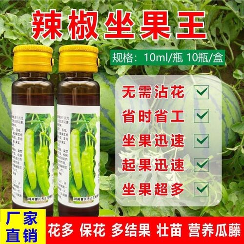 曹氏天正辣椒座果灵强座果膨大