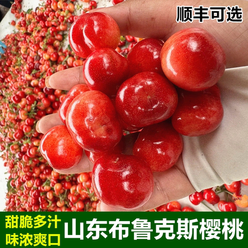 正宗布鲁克斯樱桃新鲜纯甜脆多汁