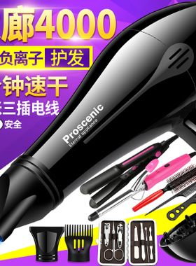 YONGSHI永士电吹风小型家用点炊疯凤发廊吹机头速干吹毛Hairdryer