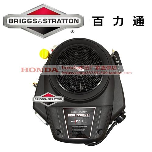 百力通汽油发动机双缸垂直轴