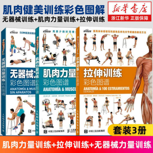 【套装3册】无器械力量训练彩色图谱+肌肉力量训练+拉伸训练彩色图谱 肌肉训练图谱塑造书 无器械健身教程 健身教练