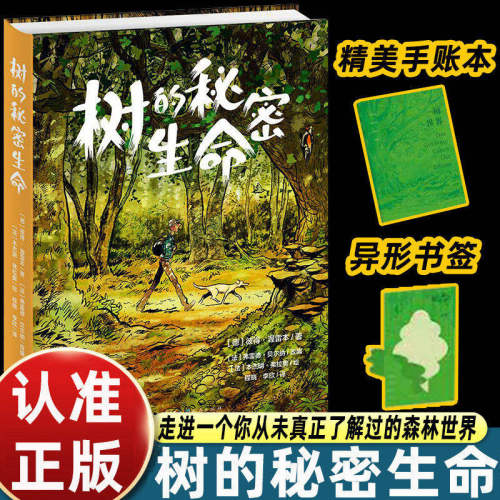 树的秘密生命全彩绘图自