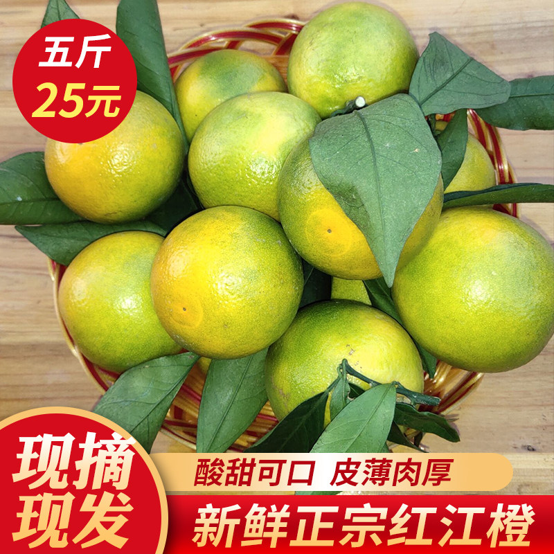廉江橙红新鲜现摘少渣鲜箱包