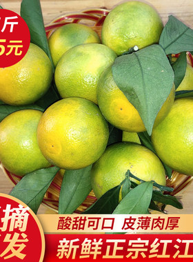 廉江橙红新鲜现摘少渣鲜箱包
