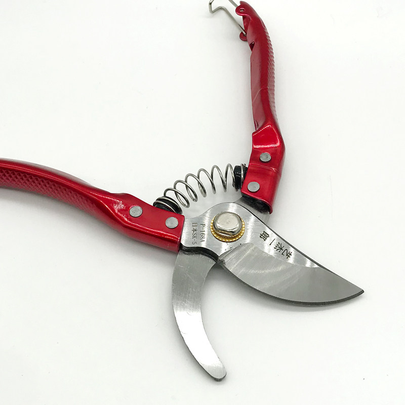 修剪果树修枝剪刀果树园林花艺修剪刀汪吾铨翘头蔬果葡萄修果剪刀