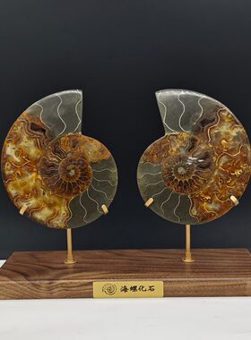 定制北美黑胡桃木矿标盒水晶矿石海纹石支架底座