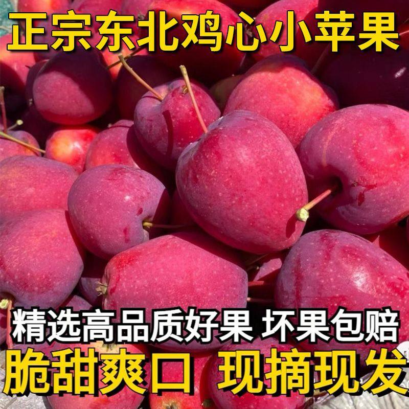 东北特产鸡心果 新鲜采摘当季果冰糖心 自然成熟产地直发水果