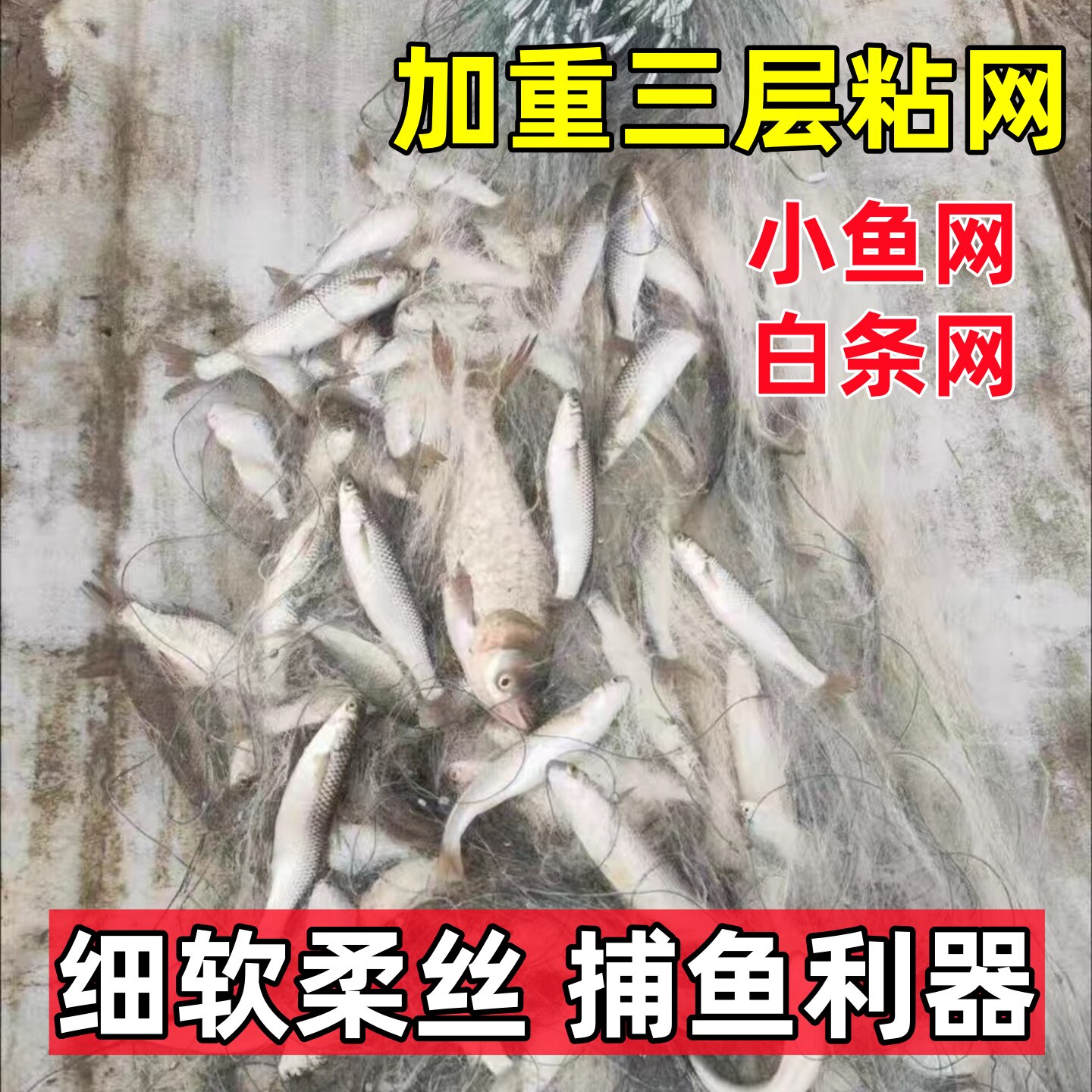 三层渔网粘网加重沉网浮网白条餐条马口专用捞小鱼网丝网捕鱼挂网