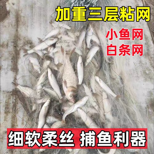 三层渔网粘网加重沉网浮网白条餐条马口专用捞小鱼网丝网捕鱼挂网
